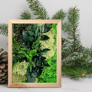 May include: A framed moss wall art piece with a variety of green moss and ferns. The frame is made of natural wood.