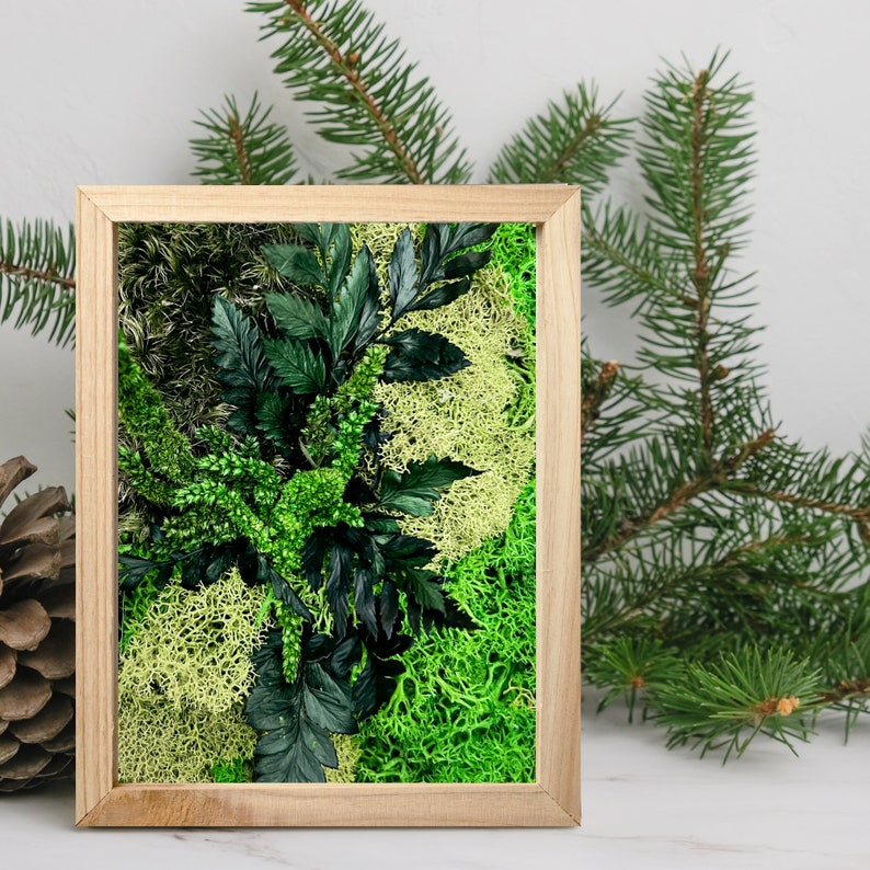 May include: A framed moss wall art piece with a variety of green moss and ferns. The frame is made of natural wood.