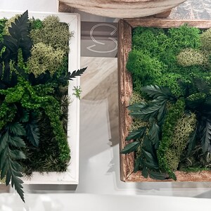May include: Two framed moss wall art pieces. One is in a white frame and the other is in a brown wooden frame. Both feature preserved moss and greenery.