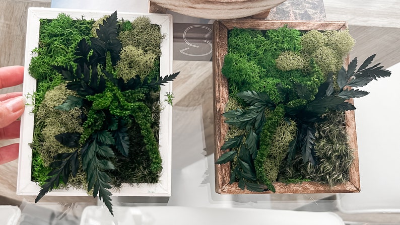 May include: Two framed moss wall art pieces. One is in a white frame and the other is in a brown wooden frame. Both feature preserved moss and greenery.