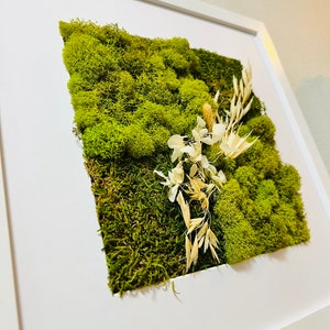 Moss Wall Art, Preserved Moss, floral Moss Frame, Vertical Garden, biophilic decor, Dried Flowers, nature Art, Living Wall, Moss home decor