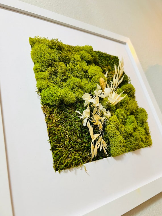 Unleash the Beauty of Nature: Discover the Floral Moss Frame