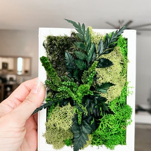 May include: A white framed wall art piece featuring a variety of preserved green moss and ferns.