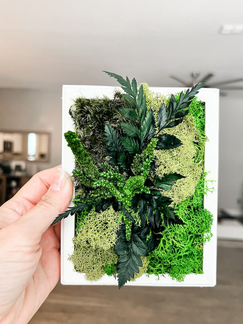 May include: A white framed wall art piece featuring a variety of preserved green moss and ferns.