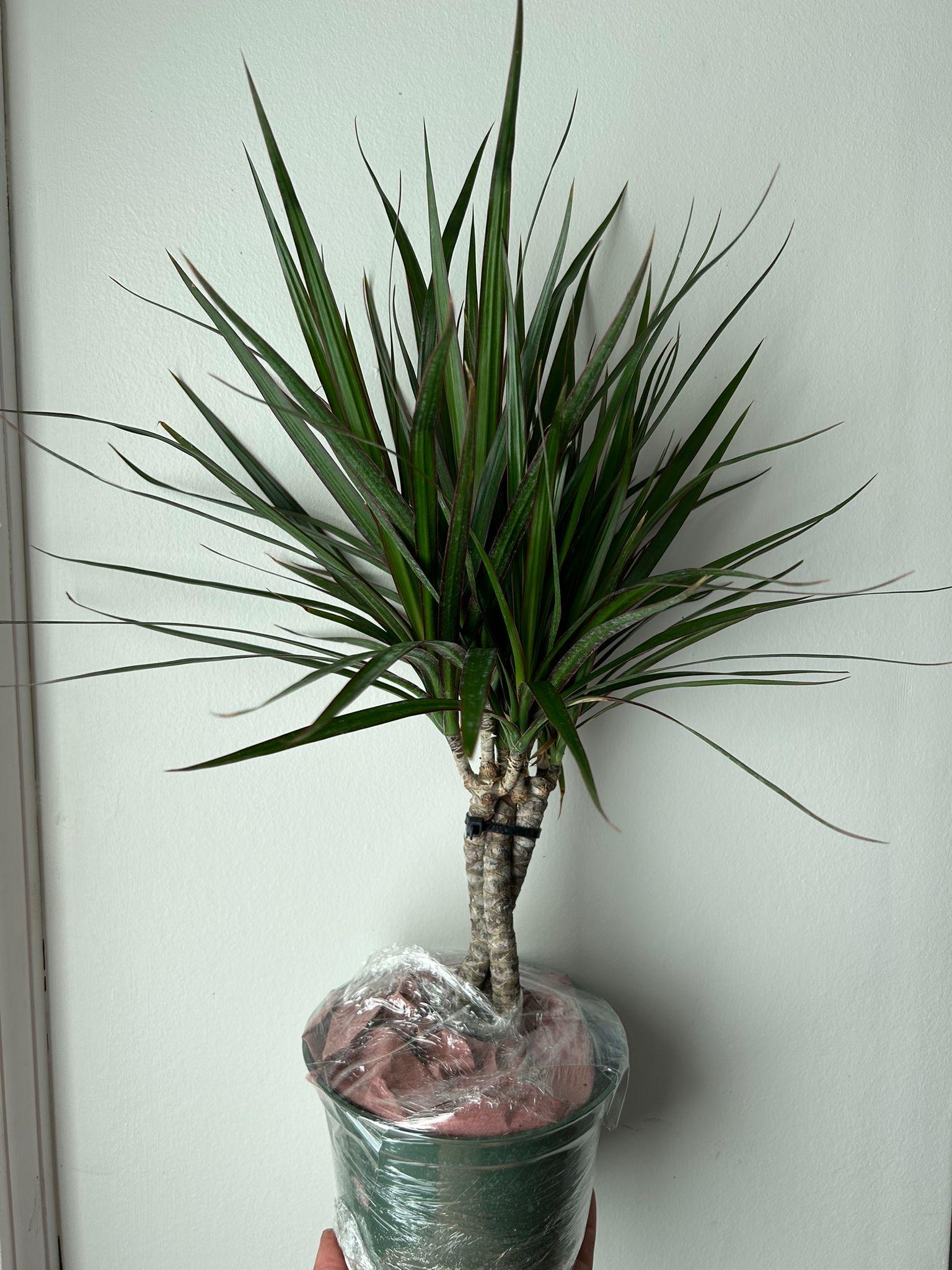 hanging ball plants UV Treated Fake Flower and Boxwood Outdoor Hanging Plant main image 0