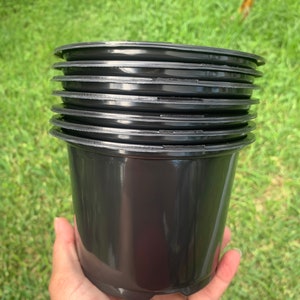 Lot of 12 Plastic Pots, Black Sturdy Planting Pots 6 in wide x 4in high