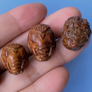 Natural Palm Tree Seeds Carved Elephant/Dragon 3 Holes Guru Beads 15 mm,Pikanet Beads,Xangsane Guru Spacer Beads,DIY Jewelry Beads