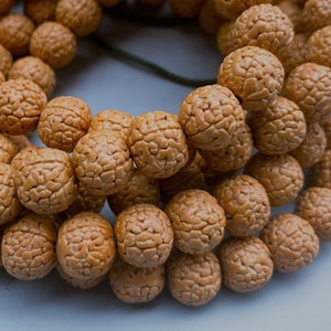 Full Strand Natural Rudraksha Bodhi Seed Round Beads 9-11 mm,Round Beads,Pipal Tree Seed Beads,Wood Beads,Buddhism Beads, DIY Accessories