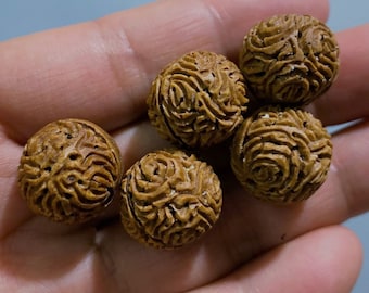 Peach Pits Etsy Peach Pits Etsy
