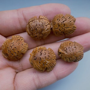 May include: Five small, brown wooden beads shaped like fish. The beads have detailed carvings and a rough texture.