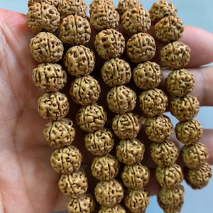 Full Strand Natural Rudraksha Bodhi Seed Round Beads 10 mm,Bucket Beads,Pipal Tree Seed Beads,Wood Beads,Buddhism Beads, DIY Accessories