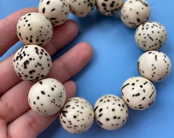 Natuurlijke bodhiroca's 18-20 mm: mala-gebedkralen, doe-het-zelfsieraden