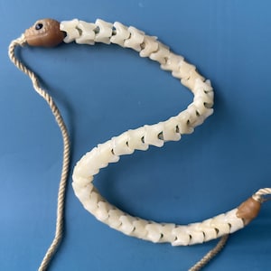 May include: A white bone-like necklace with a brown skull bead at each end. The necklace is made of small, connected pieces that resemble vertebrae. The necklace is strung on a beige cord.