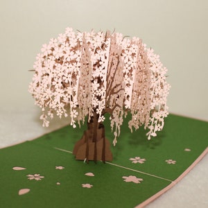 3D-pop-upkaart Pink Cherry Blossom