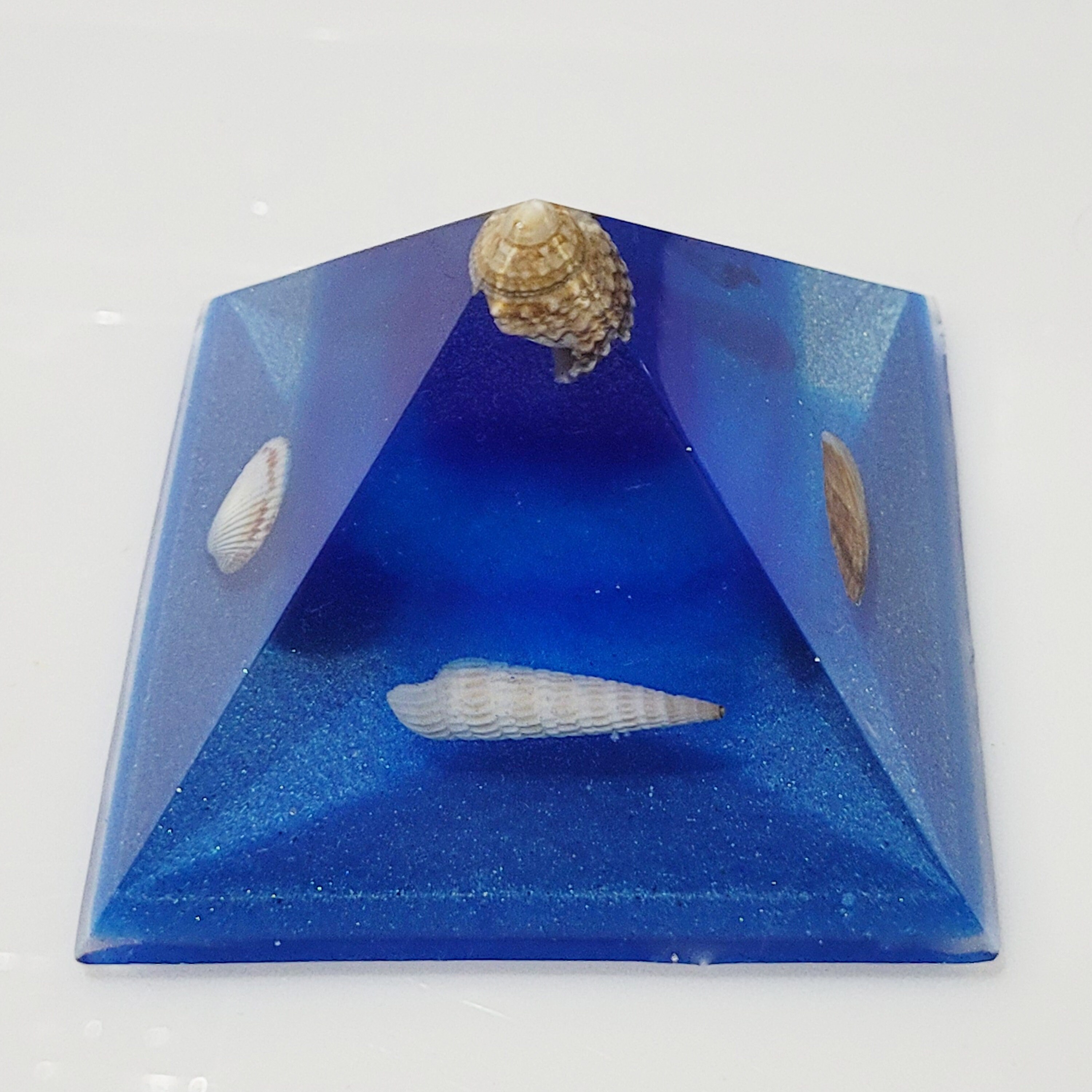 Resin Pyramid With Florida Shells - Etsy