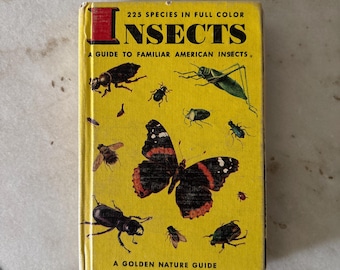 Vintage Insects reference Guide pocket book yellow hardcover with color photos