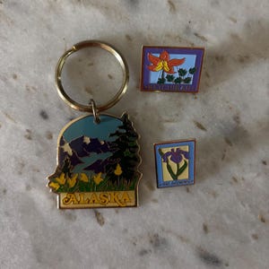 Peut inclure: Un porte-clés en métal représentant un paysage de montagne avec le texte ALASKA, accompagné de deux épinglettes rectangulaires en émail. L'une montre une fleur orange avec le texte KETCHIKAN, l'autre une fleur violette avec SKAGWAY.