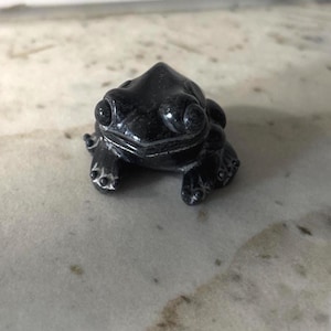 May include: A small, carved black stone figurine in the shape of a frog. The sculpture features a smooth, polished surface with a dark, uniform colour, prominent rounded eyes, and detailed webbed feet resting in a seated, forward-facing position.