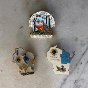 Lions club pins - Etsy 日本