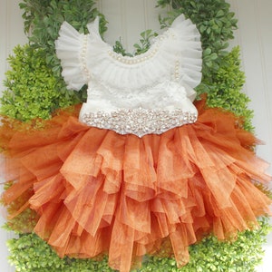Burnt orange dress..baby girl dress..1st birthday dress..flower girl custom dress