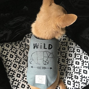 Band shirts sale for dogs