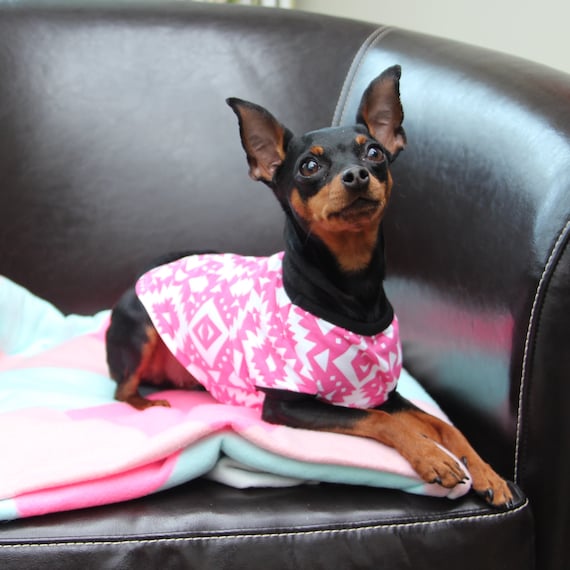 Summer T shirt for Dogs Small Dog T shirt Dog Tshirt Pink T