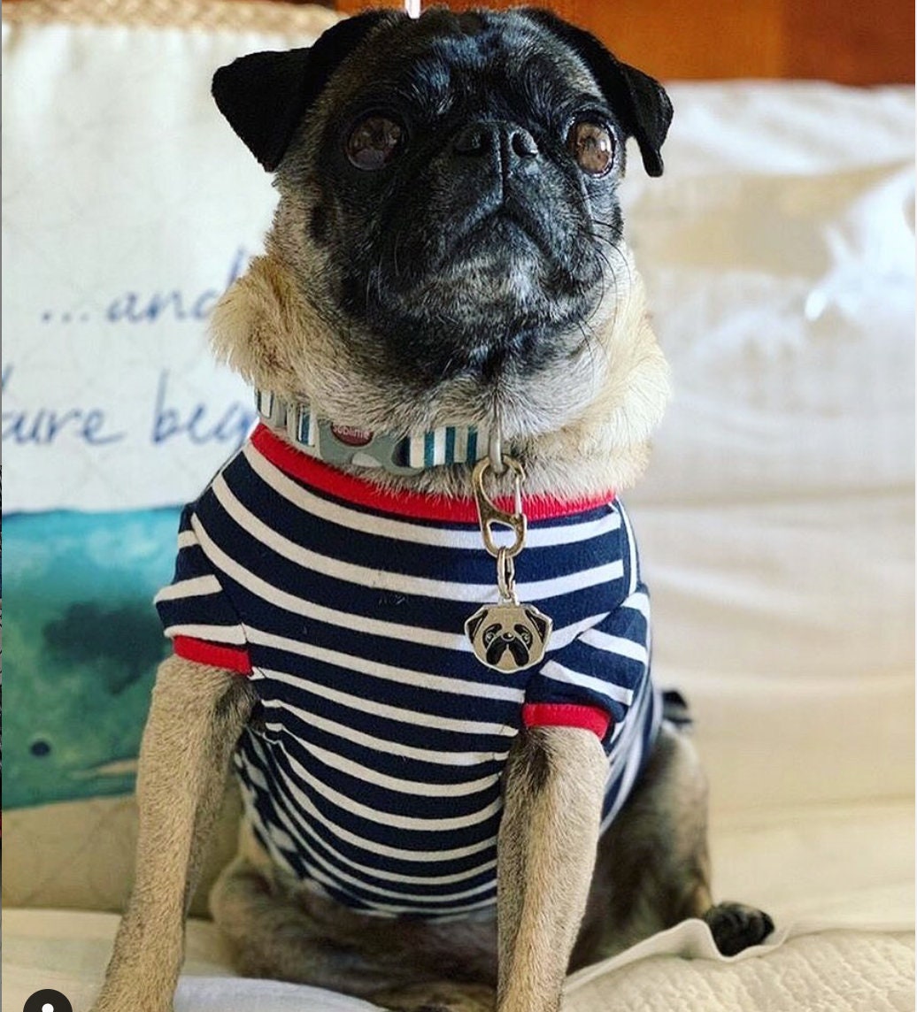 XXS Nautical Tshirt for dogs small dog tshirt dog tshirt Etsy