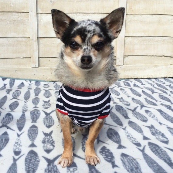 T shirt for dogs uk discount