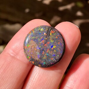 May include: A round, black opal cabochon with a dark, iridescent surface. The opal has a variety of colors, including red, orange, yellow, green, blue, and purple.