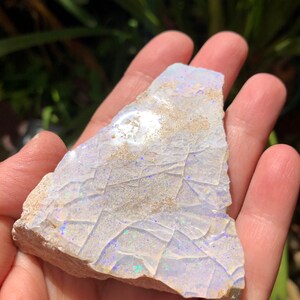 May include: A rough, white opal with iridescent blue and green flashes. The opal is a natural stone with a rough, irregular shape.