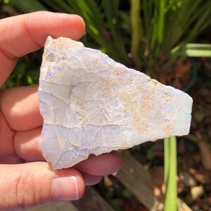 May include: A piece of white opal with blue and purple iridescence. The opal is rough and has a natural, irregular shape.
