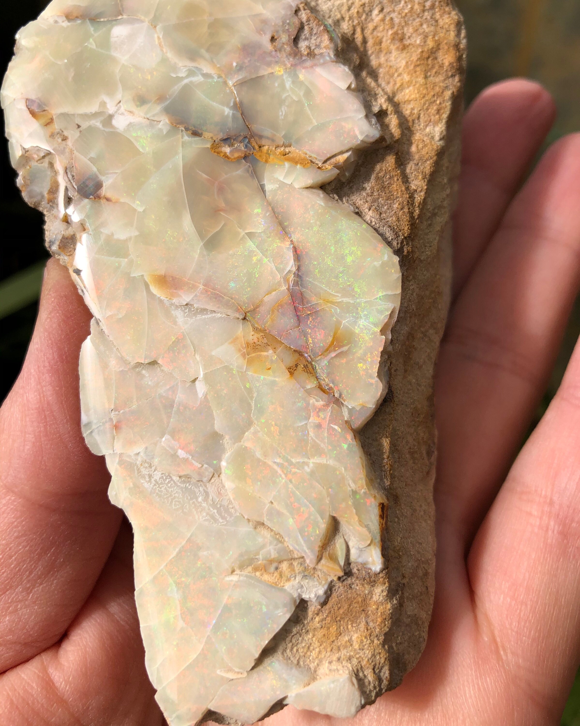 Opale Brute Naturelle Mintabie South Australia - 47.5 Tcw - Lot Multicolore