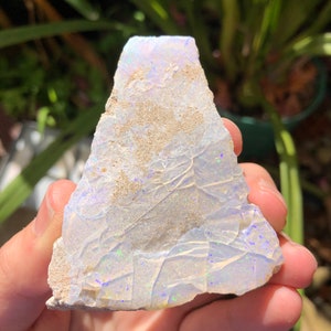 May include: A rough, white opal with iridescent blue and green flashes. The opal is a natural stone with a rough, irregular shape.