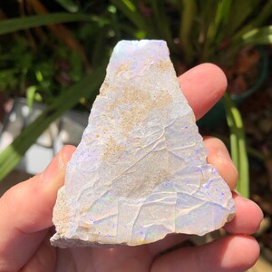 May include: A rough, white opal with iridescent blue and green flashes. The opal is a natural stone with a rough, irregular shape.