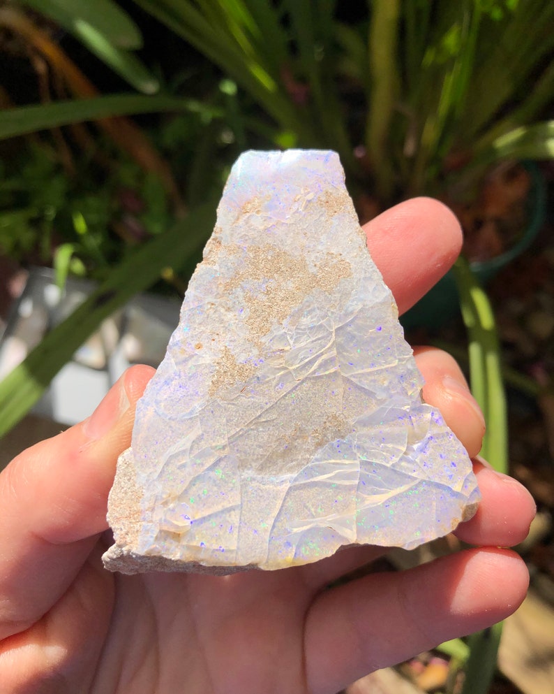 May include: A rough, white opal with iridescent blue and green flashes. The opal is a natural stone with a rough, irregular shape.