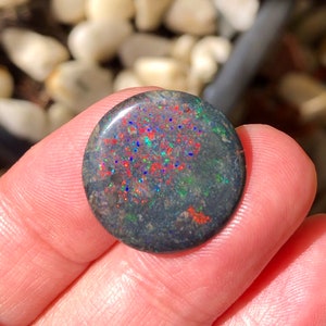 May include: A round, dark gray opal stone with vibrant red, blue, and green flecks. The polished surface of the gemstone reflects light, creating a sparkling effect. The opal is held in a hand, showcasing its natural beauty.