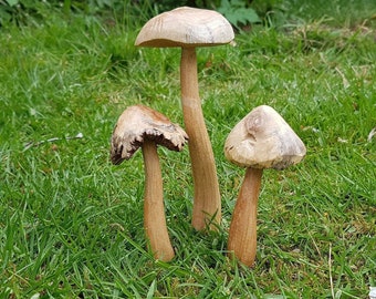 Ensemble de champignons féeriques en bois,