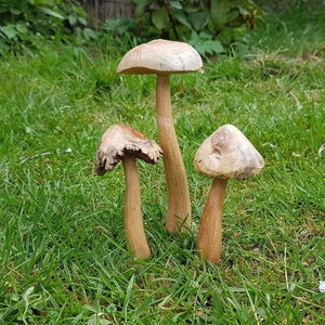 Hand Craved Wooden Mushrooms