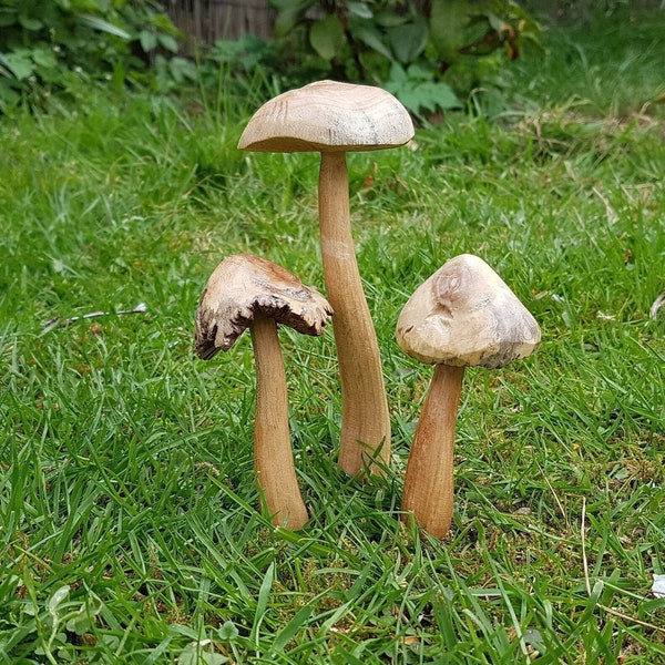 Ensemble de champignons féeriques en bois,