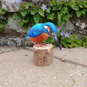 Stunningly realistic handcarved and individually painted kingfisher, perched on a wooden stand that measures 14cm from beak to tail.
