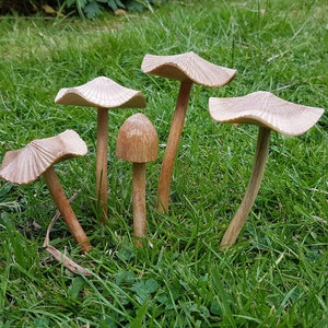 Small wooden fairy garden mushroom set.