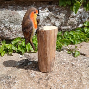 Stunningly realistic handcarved and individually painted life size Robin, perched on a wooden stand that measures 12cm from beak to tail.