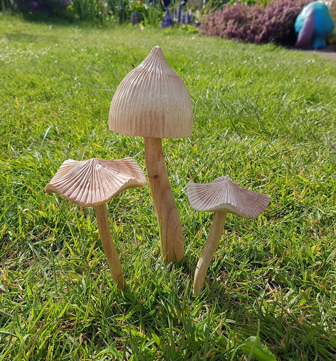 Small Wooden Fairy Garden Mushroom Set - Etsy