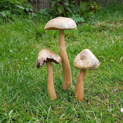 Wooden Fairy Garden Mushroom set,