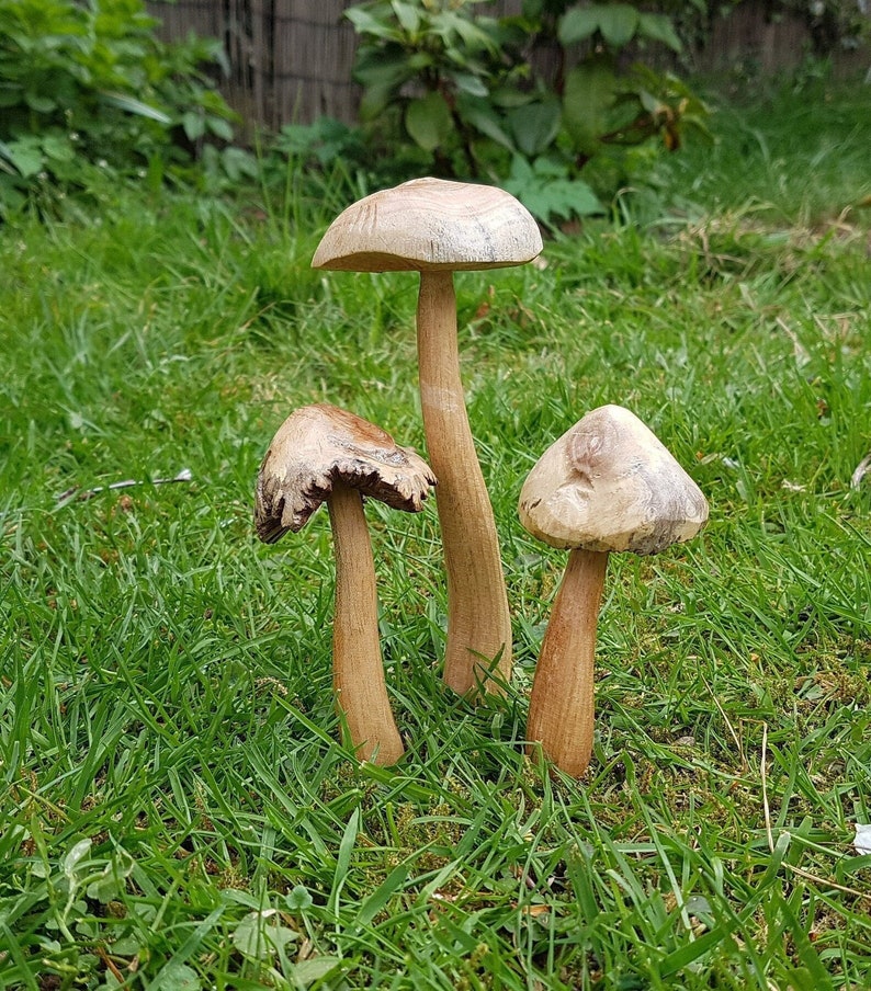 Wooden Fairy Garden Mushroom set, image 1