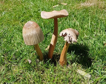 ensemble de champignons de jardin de fées en bois