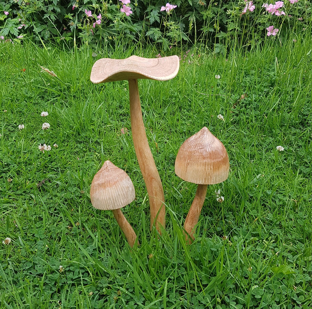 Large Wooden Fairy Garden Mushroom Set, - Etsy