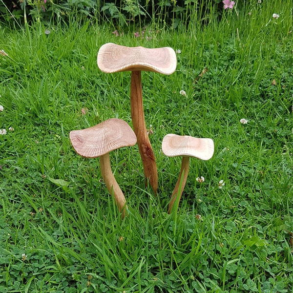 wooden fairy garden mushroom set