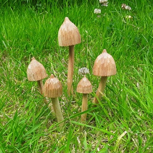 Small wooden fairy garden mushroom set,Liberty cap mushroom sets