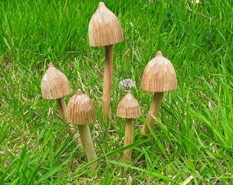 Small wooden fairy garden mushroom set,Liberty cap mushroom sets